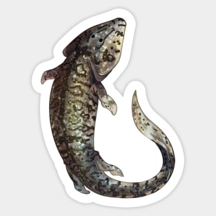 Cozy Tiktaalik Sticker